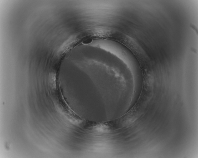 X0000102240696200807251300