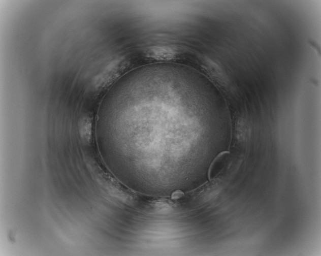 X0000102240697200807251300