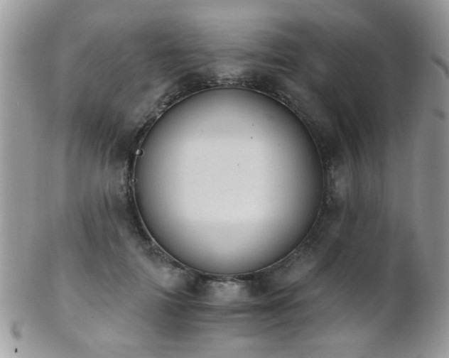 X0000102240698200807251300