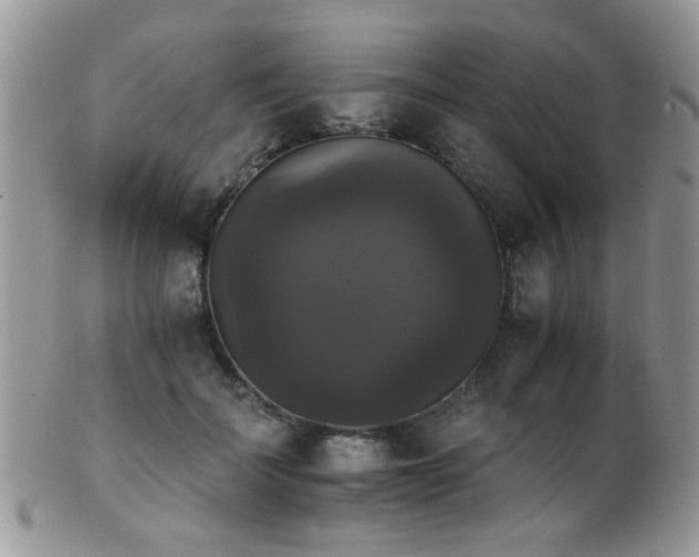 X0000102240699200807251300