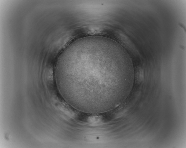 X0000102240700200807251300