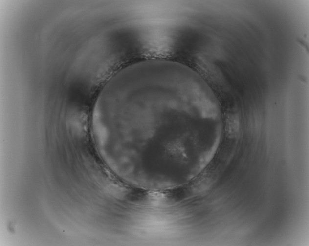 X0000102240701200807251300