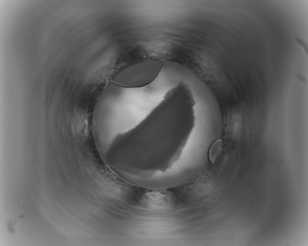 X0000102240703200807251300