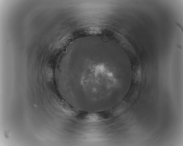 X0000102240704200807251300