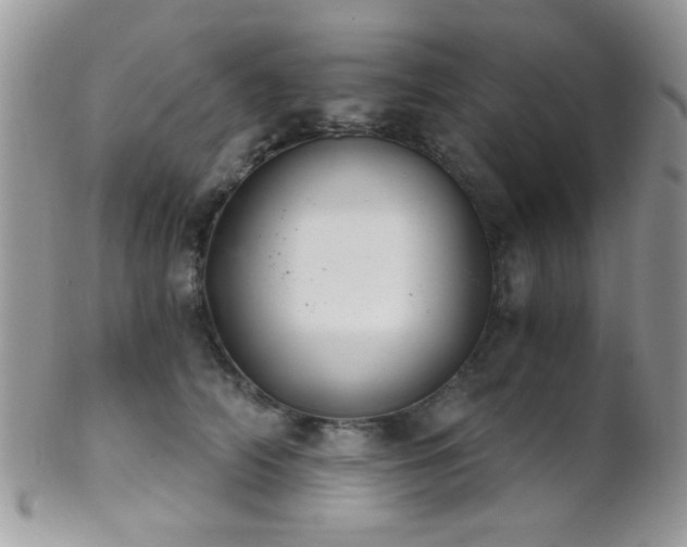 X0000102240706200807251300