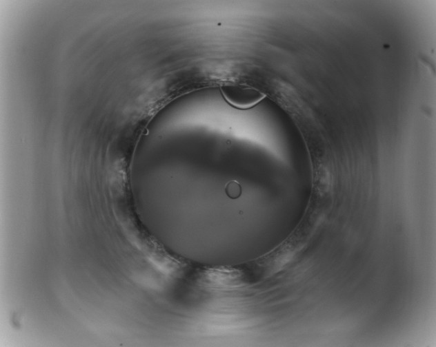 X0000102240707200807251300