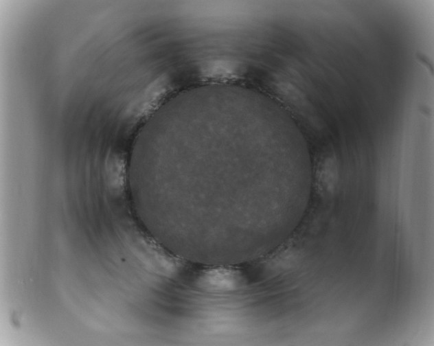 X0000102240708200807251300