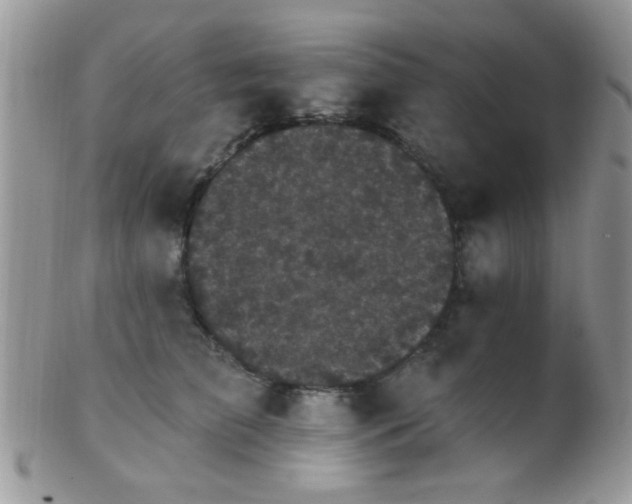 X0000102240709200807251300