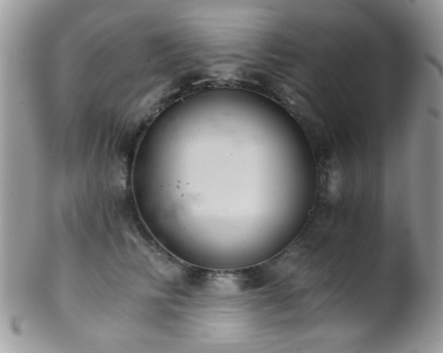 X0000102240710200807251300