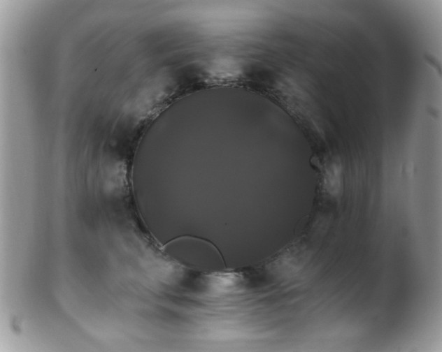 X0000102240711200807251300