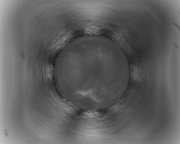 X0000102240712200807251300