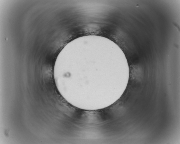 X0000102240713200807251300