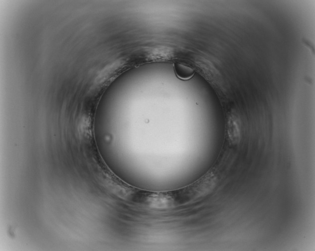 X0000102240714200807251300