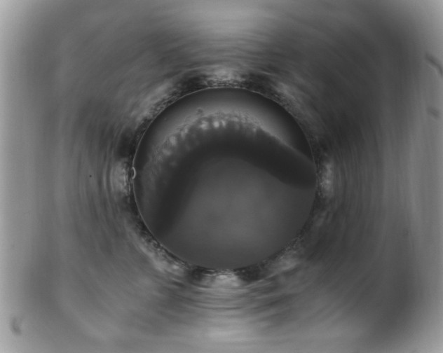 X0000102240715200807251300