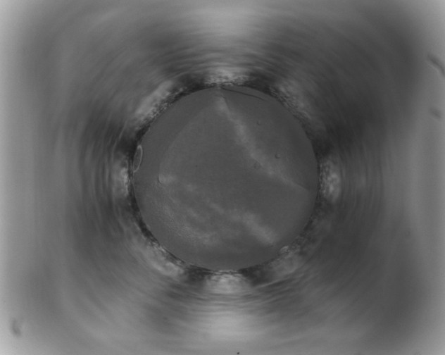 X0000102240716200807251259