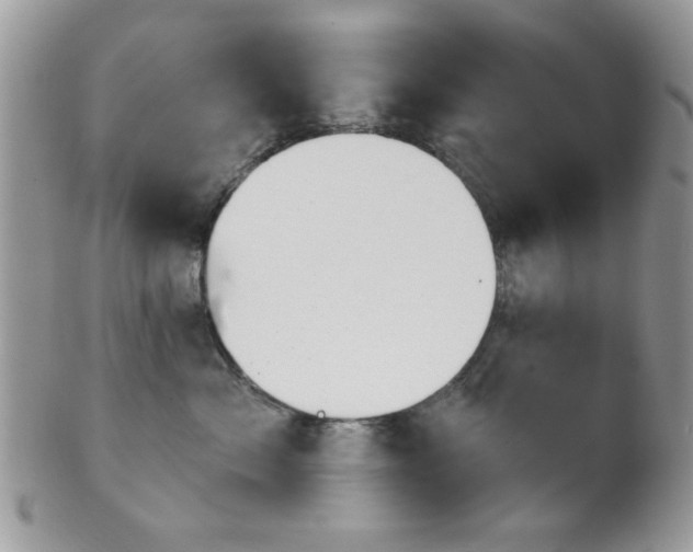 X0000102240717200807251259