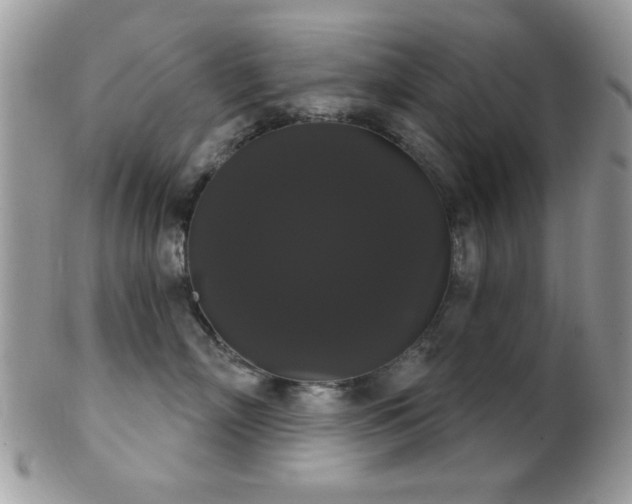 X0000102240718200807251259