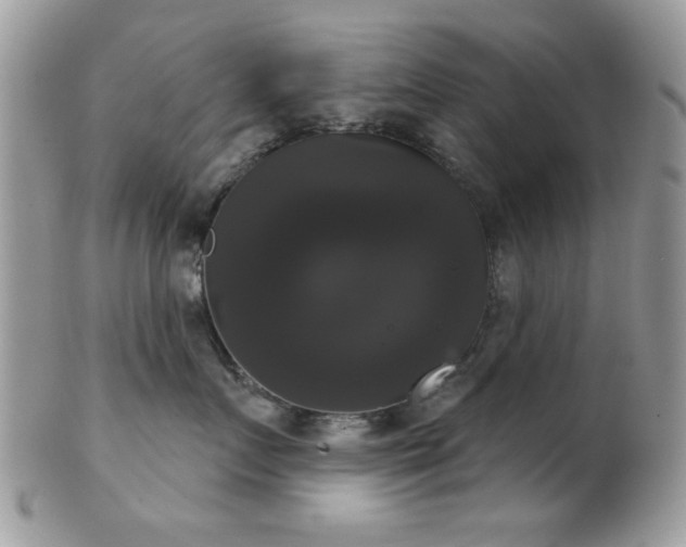 X0000102240719200807251259