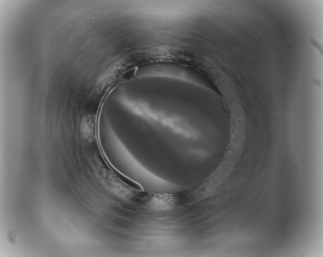 X0000102240720200807251259