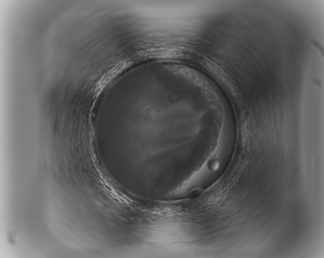 X0000102240721200807251259