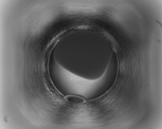 X0000102240722200807251259