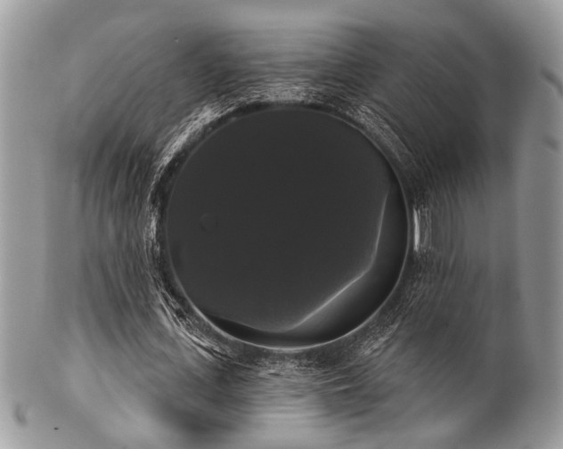 X0000102240723200807251259