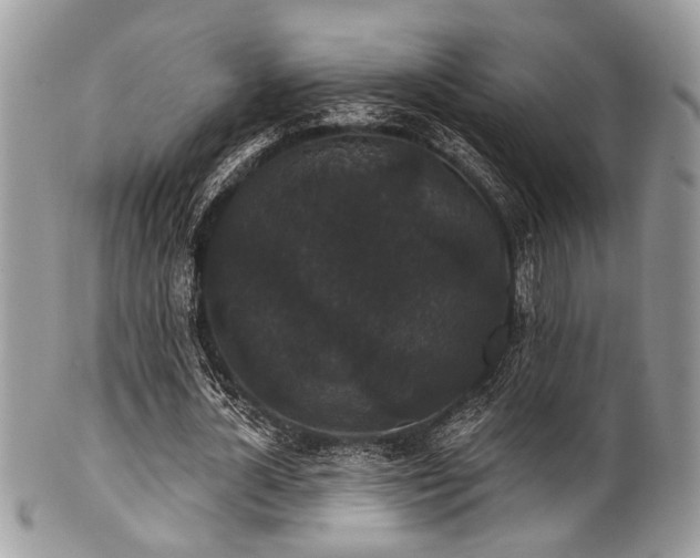 X0000102240724200807251259