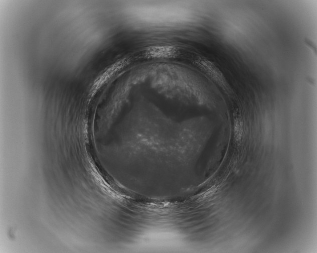 X0000102240725200807251259