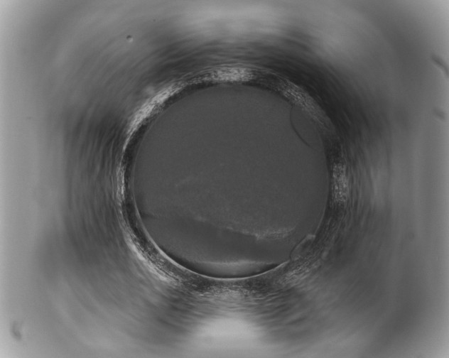 X0000102240726200807251259