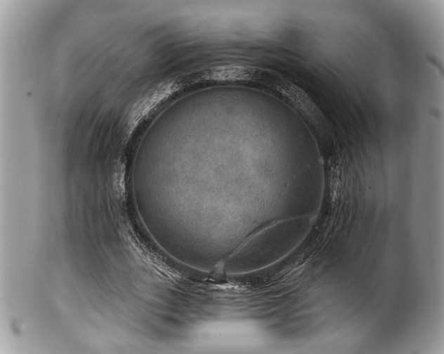 X0000102240727200807251259