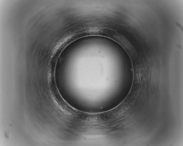 X0000102240728200807251259