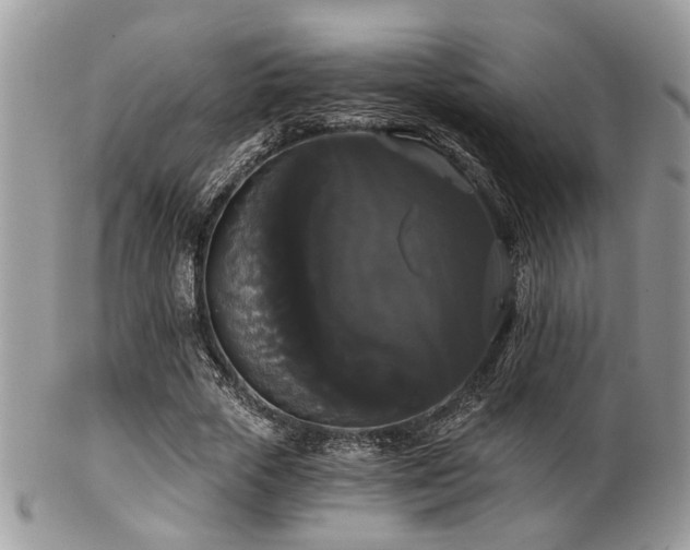 X0000102240729200807251259