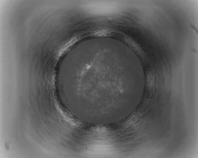 X0000102240730200807251259