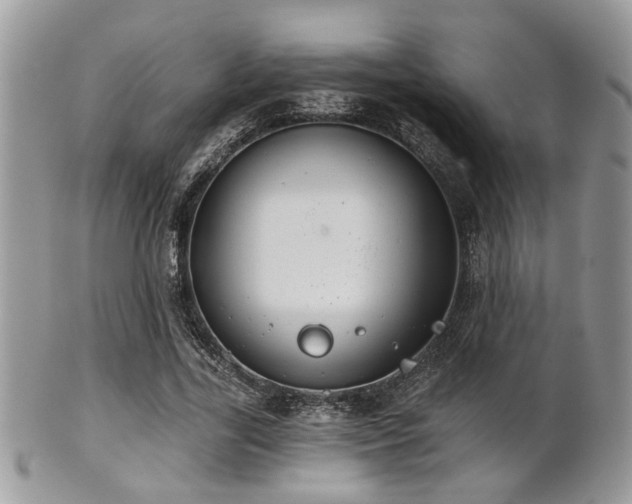 X0000102240731200807251259