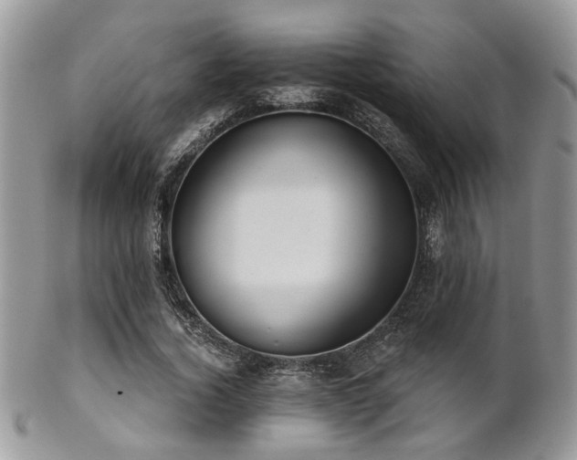 X0000102240732200807251259