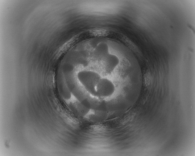 X0000102240733200807251259