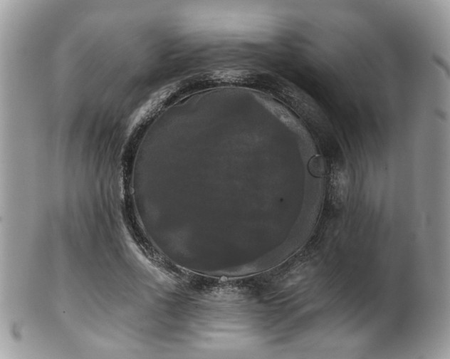 X0000102240734200807251259