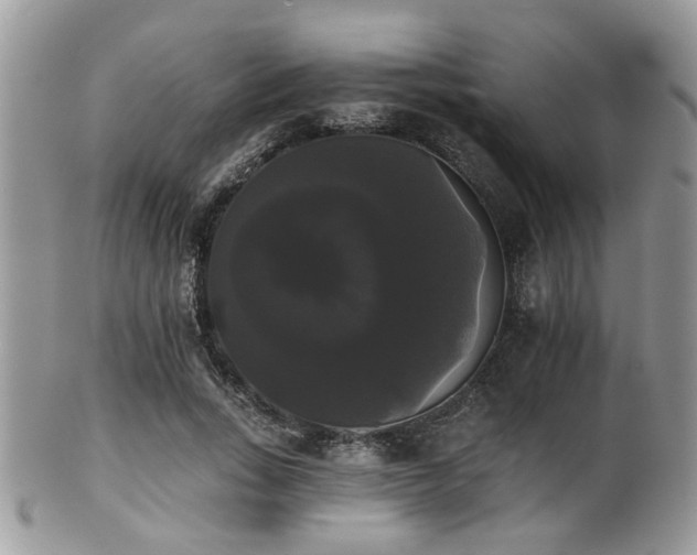 X0000102240735200807251259