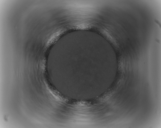 X0000102240736200807251259