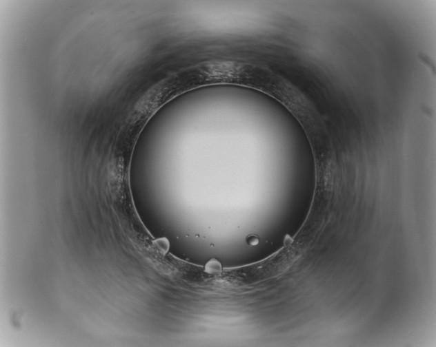 X0000102240737200807251259