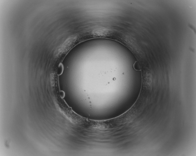 X0000102240738200807251259