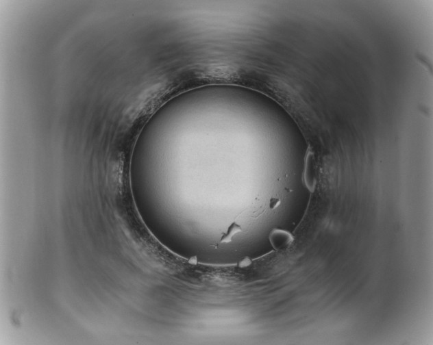 X0000102240739200807251259