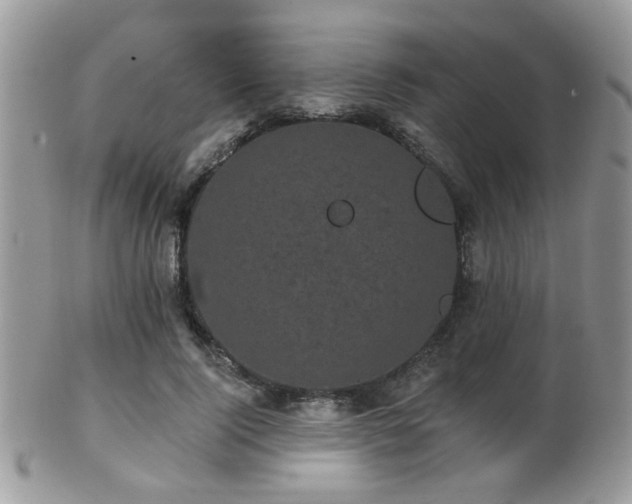 X0000102240740200807251259