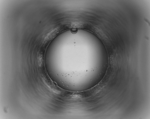 X0000102240741200807251259