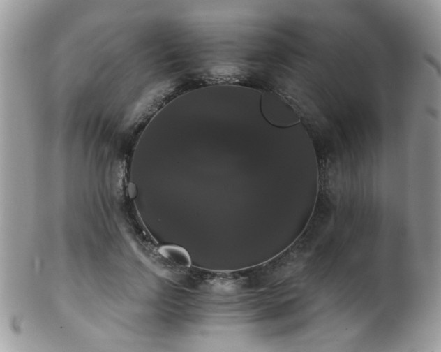 X0000102240742200807251259