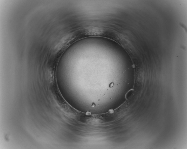 X0000102240743200807251259