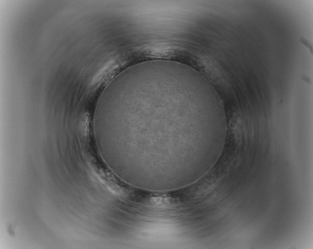 X0000102240744200807251259