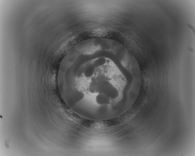 X0000102240745200807251259