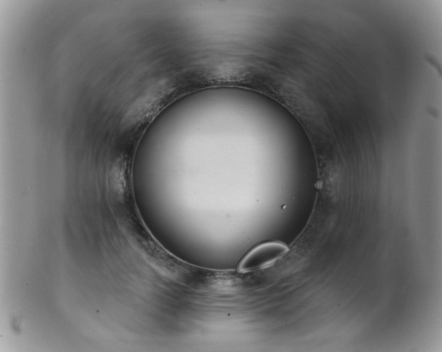 X0000102240746200807251259