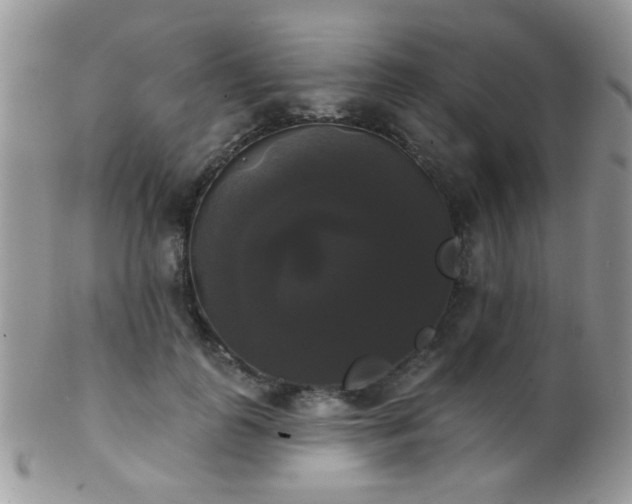 X0000102240747200807251259